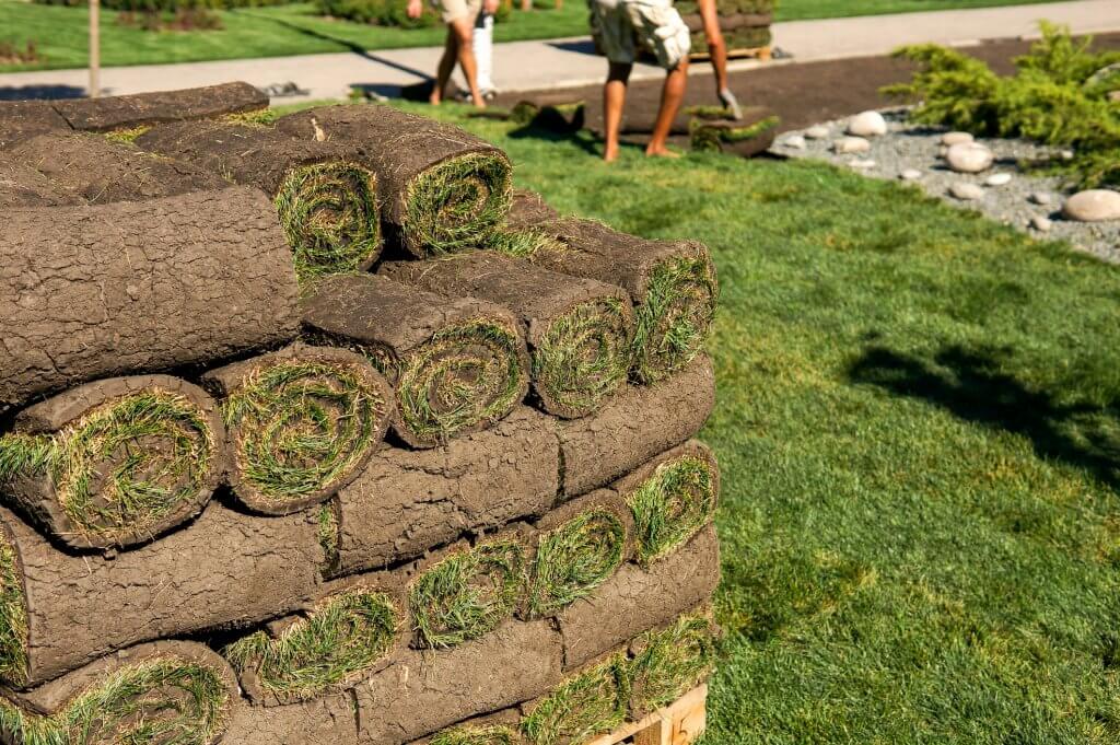 Stacking of grass rolls (instant lawn)