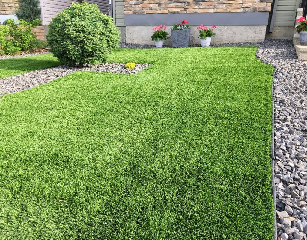 Artificial Grass in Backyard