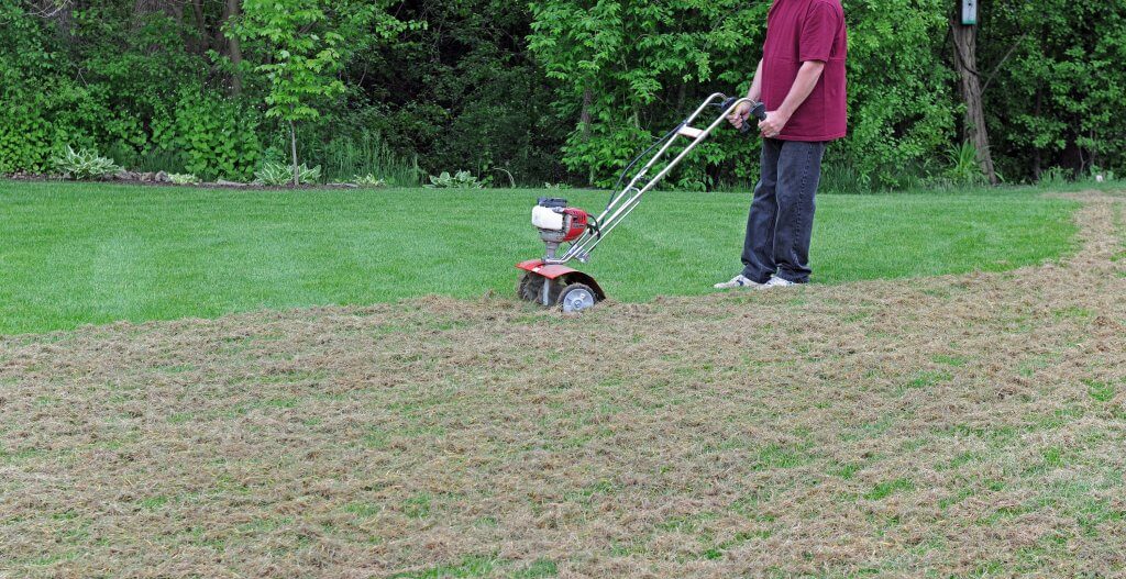 Dethatching an Instant Lawn
