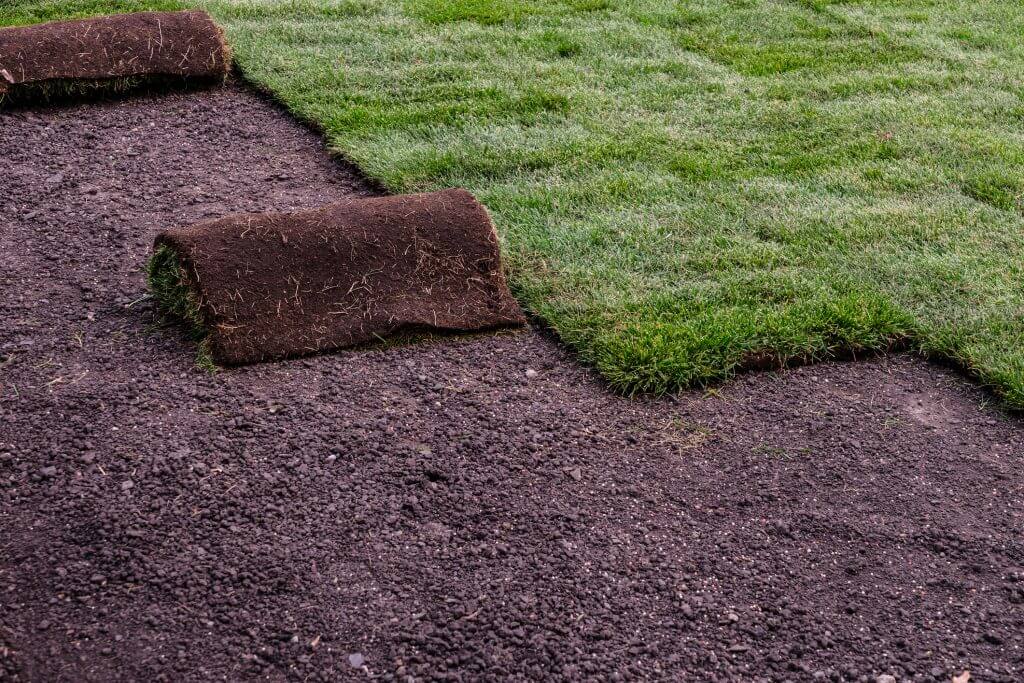 Instant lawn being laid on soil