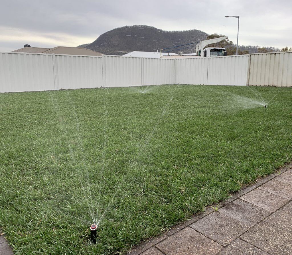 Irrigation system watering an Instant Lawn