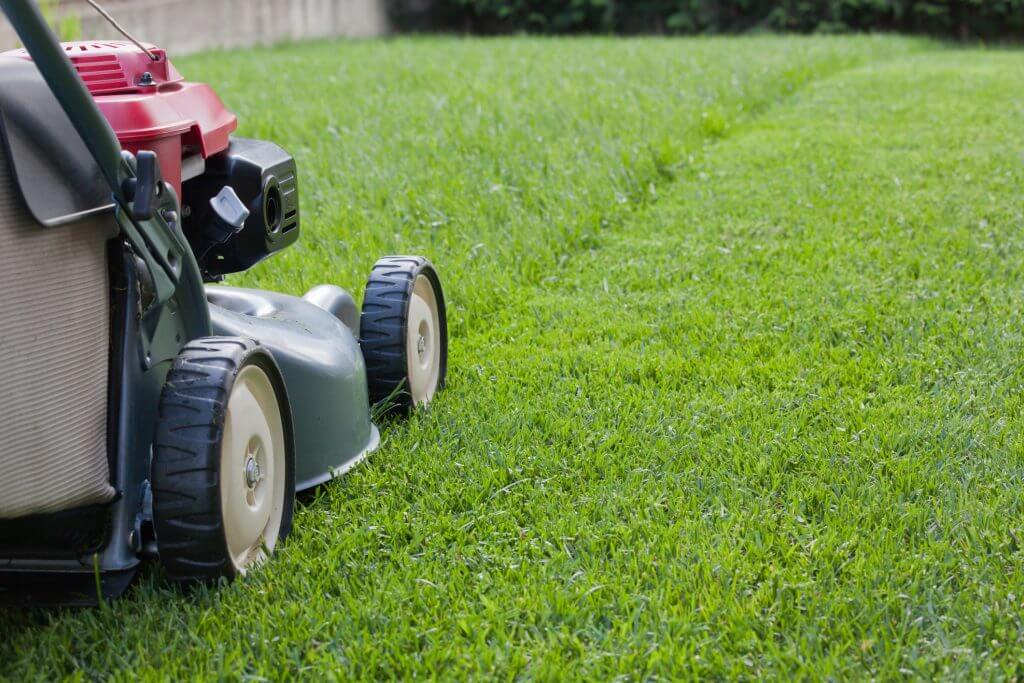 Mowing Instant Lawn