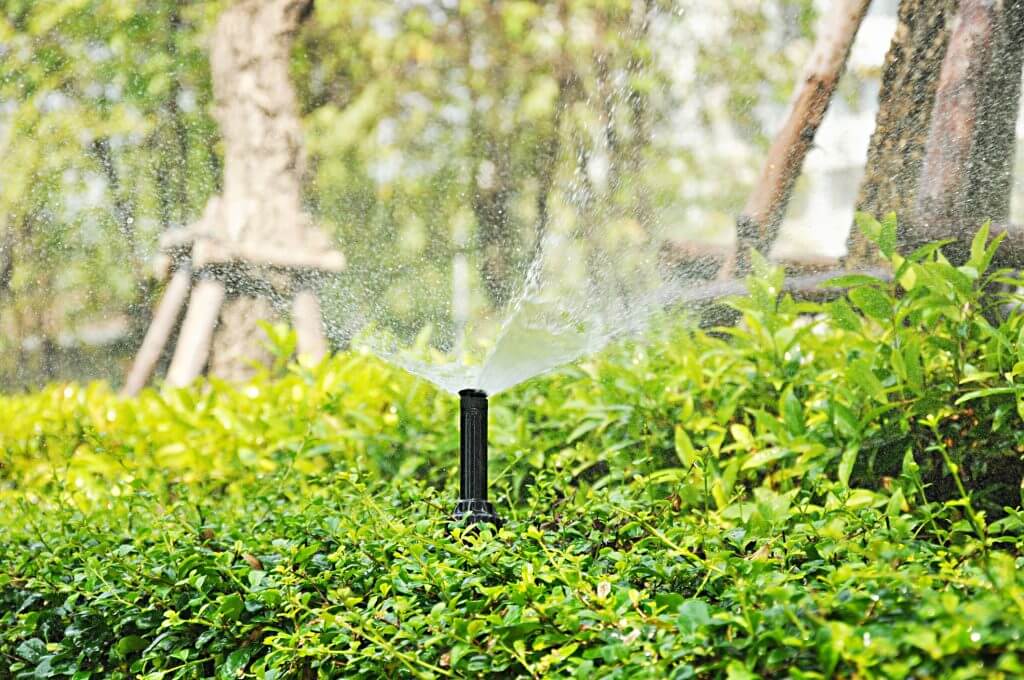 Water sprinkler watering over the bushes