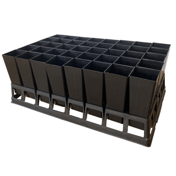 40-Cell-Air-Pruning-Tray-with-50mm-Square-NativeForestry-Tube-Pots-06