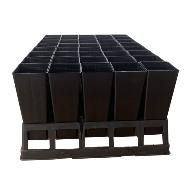 40-Cell-Air-Pruning-Tray-with-50mm-Square-NativeForestry-Tube-Pots-07