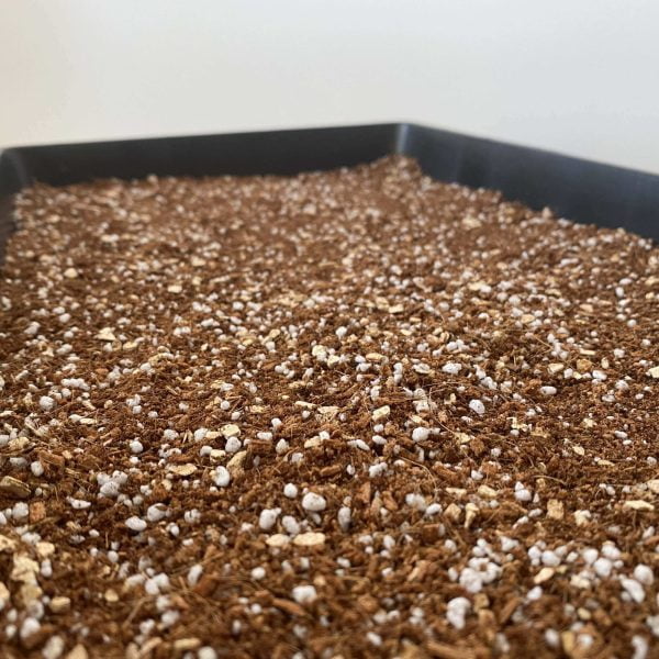 Coir Perlite and Vermiculite soil mix