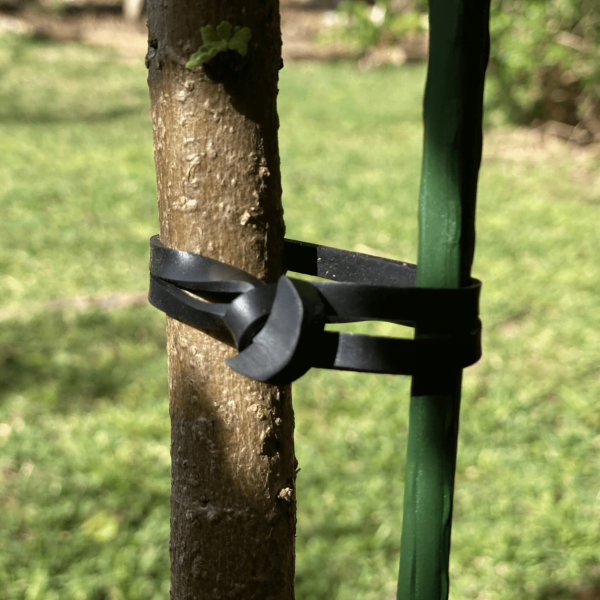 Soft-Rubber-Tree-Tie-150mm