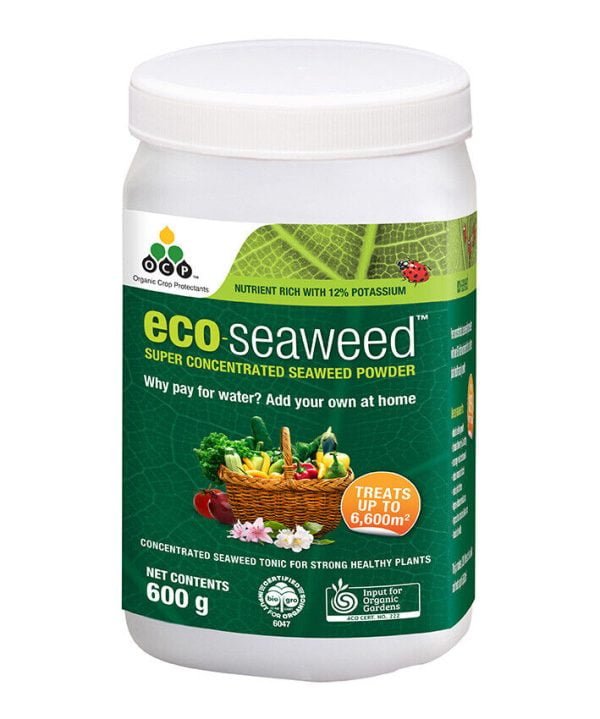Eco Seaweed Super Concentrate Powder